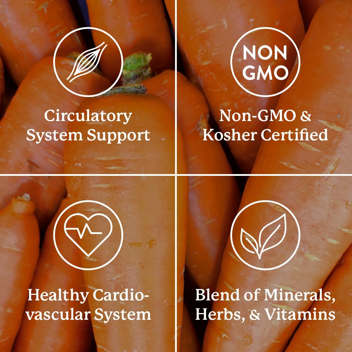 Nature's Sunshine Mega-Chel, 120 Tablets