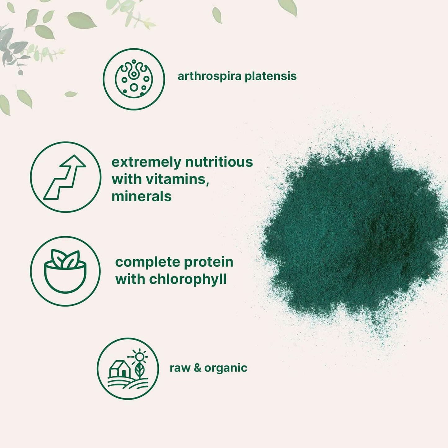 Micro Ingredients Organic Spirulina Powder, 16 Ounce