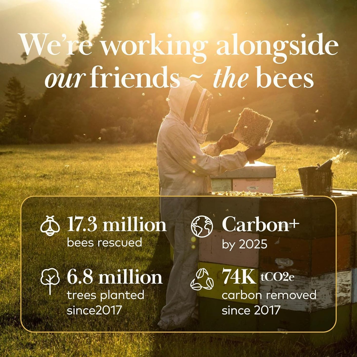 Comvita Manuka Honey (UMF 10+, MGO 263+) New Zealand’s