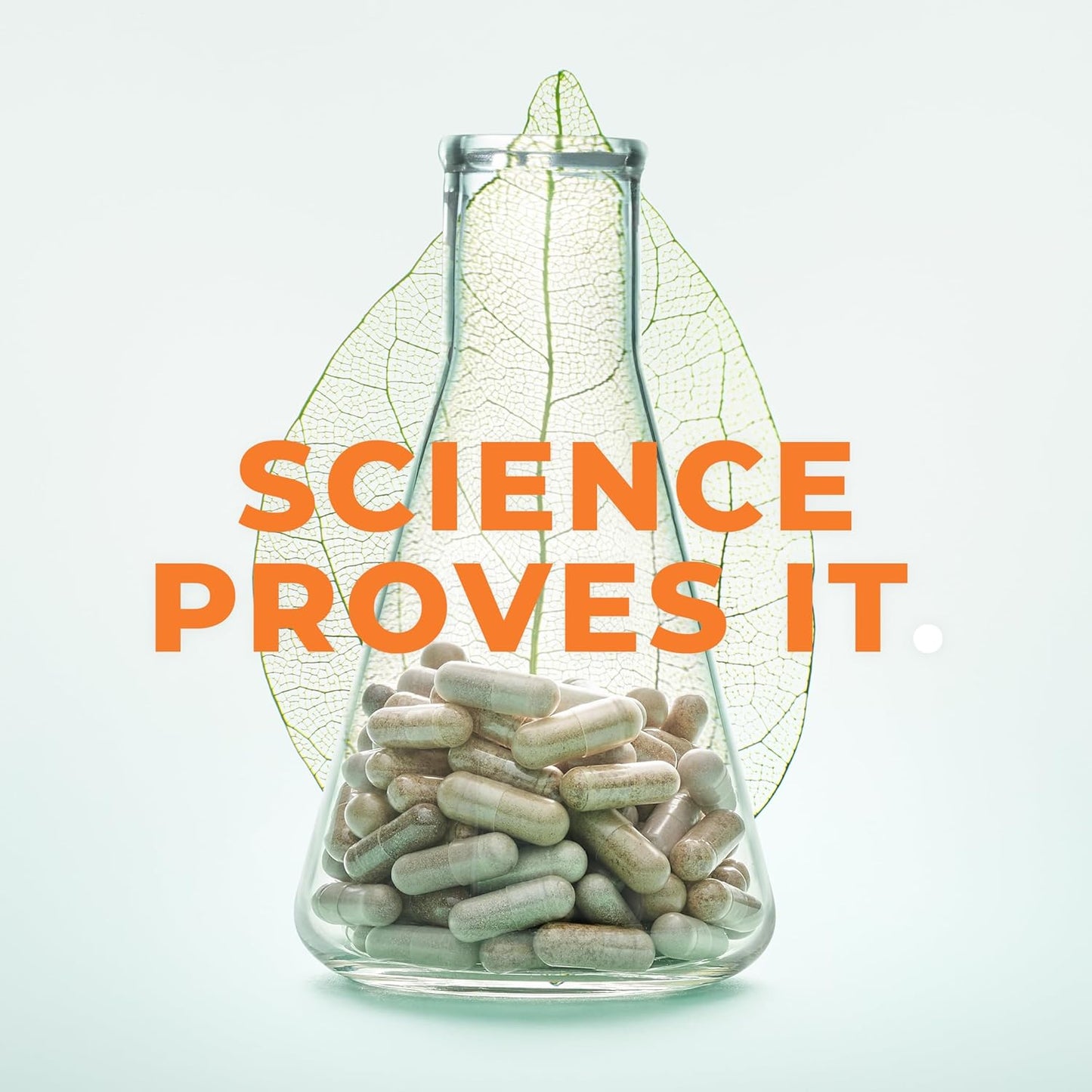 Inflamma-X - Inflammation Support Supplement 60 Capsules