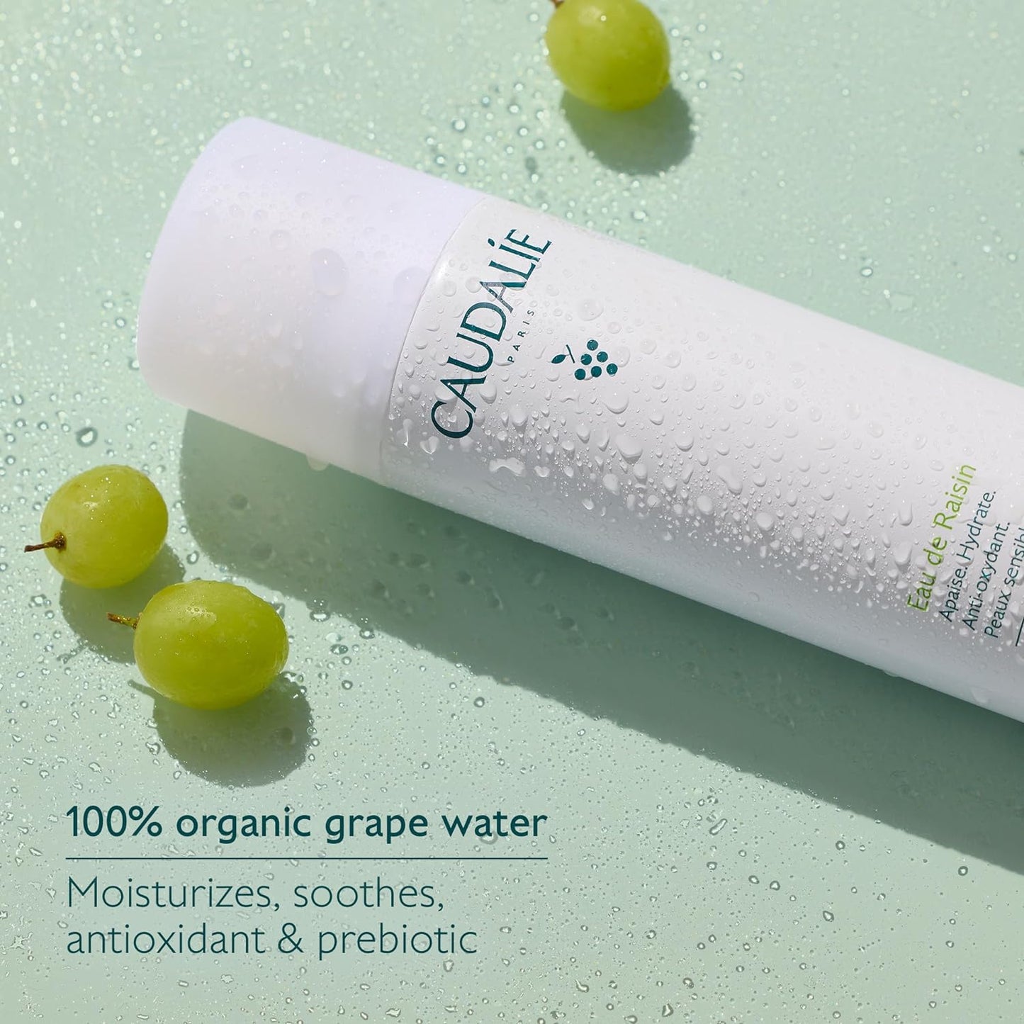 Caudalie Grape Water Moisturizing Face Mist Travel Size - 75 mL