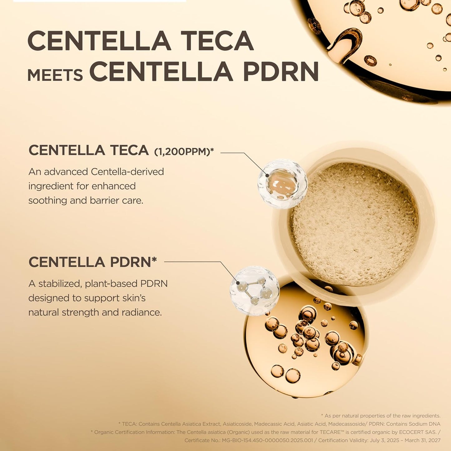 SKIN1004 Madagascar Centella TECA Ampoule - 1.69 fl oz