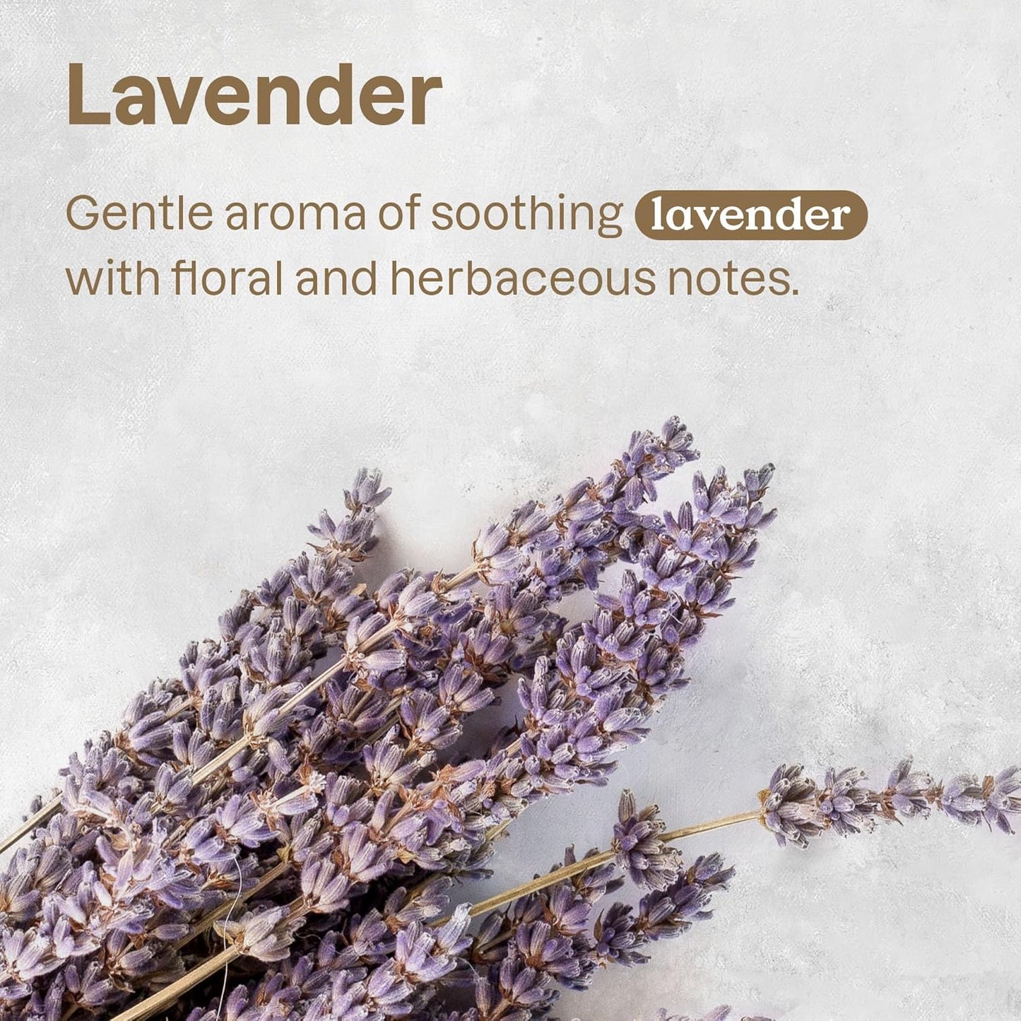 ATTITUDE All Surface Cleaner for Pets- Lavender, 16 Fl Oz