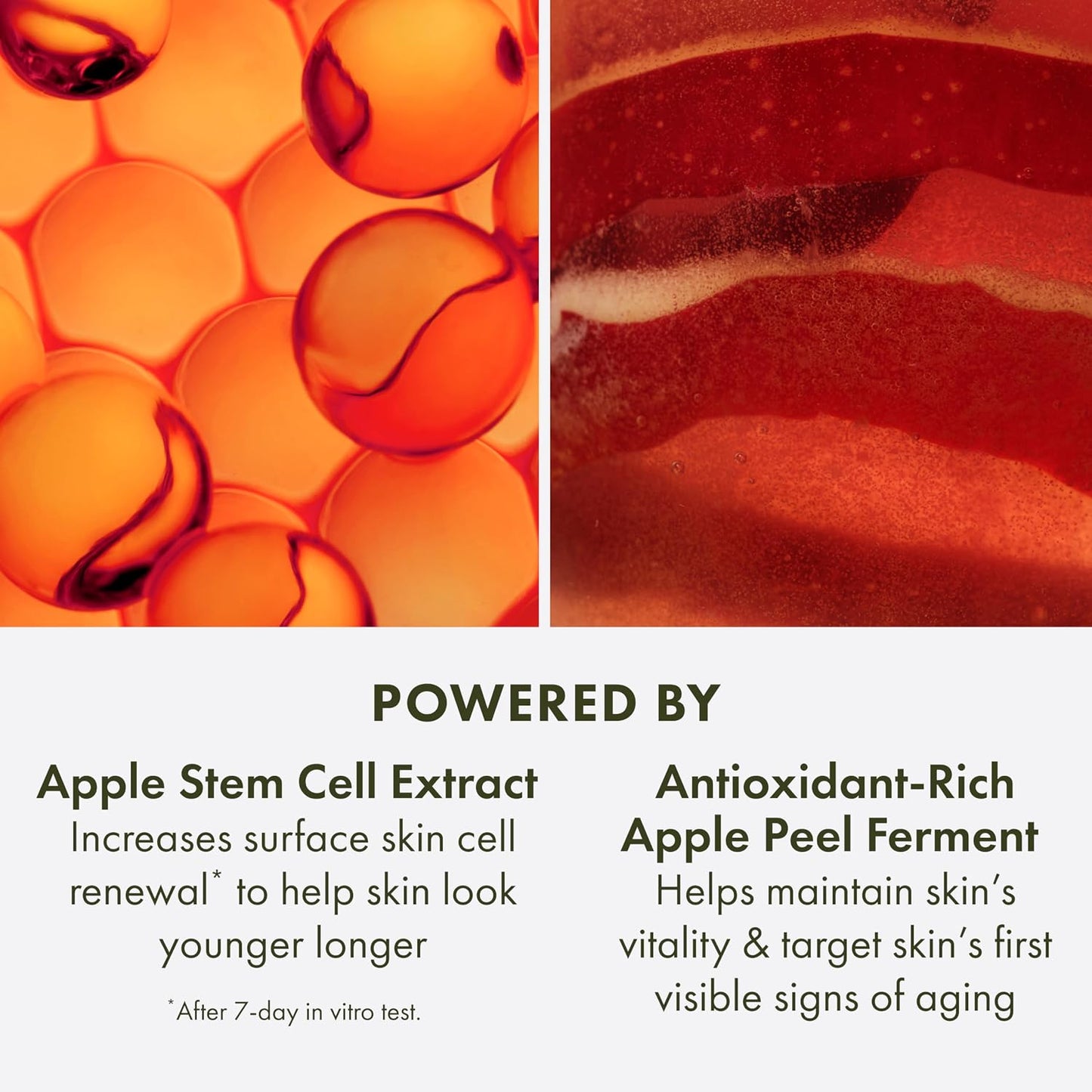 Origins Youthtopia Peptide Plumping Apple Moisturizer - 1.7 Fl Oz