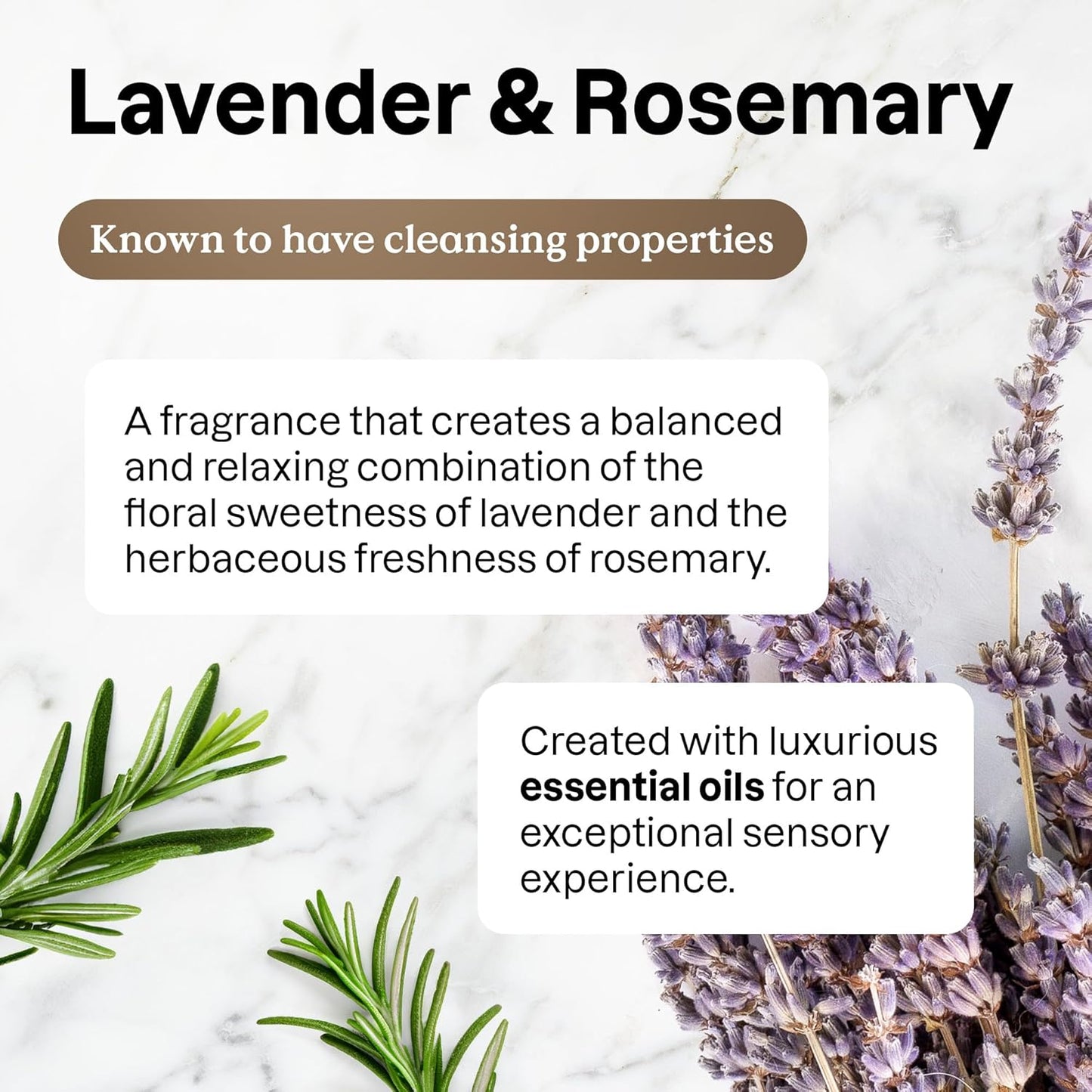 ATTITUDE Dish Soap,Lavender and Rosemary -16 Fl Oz