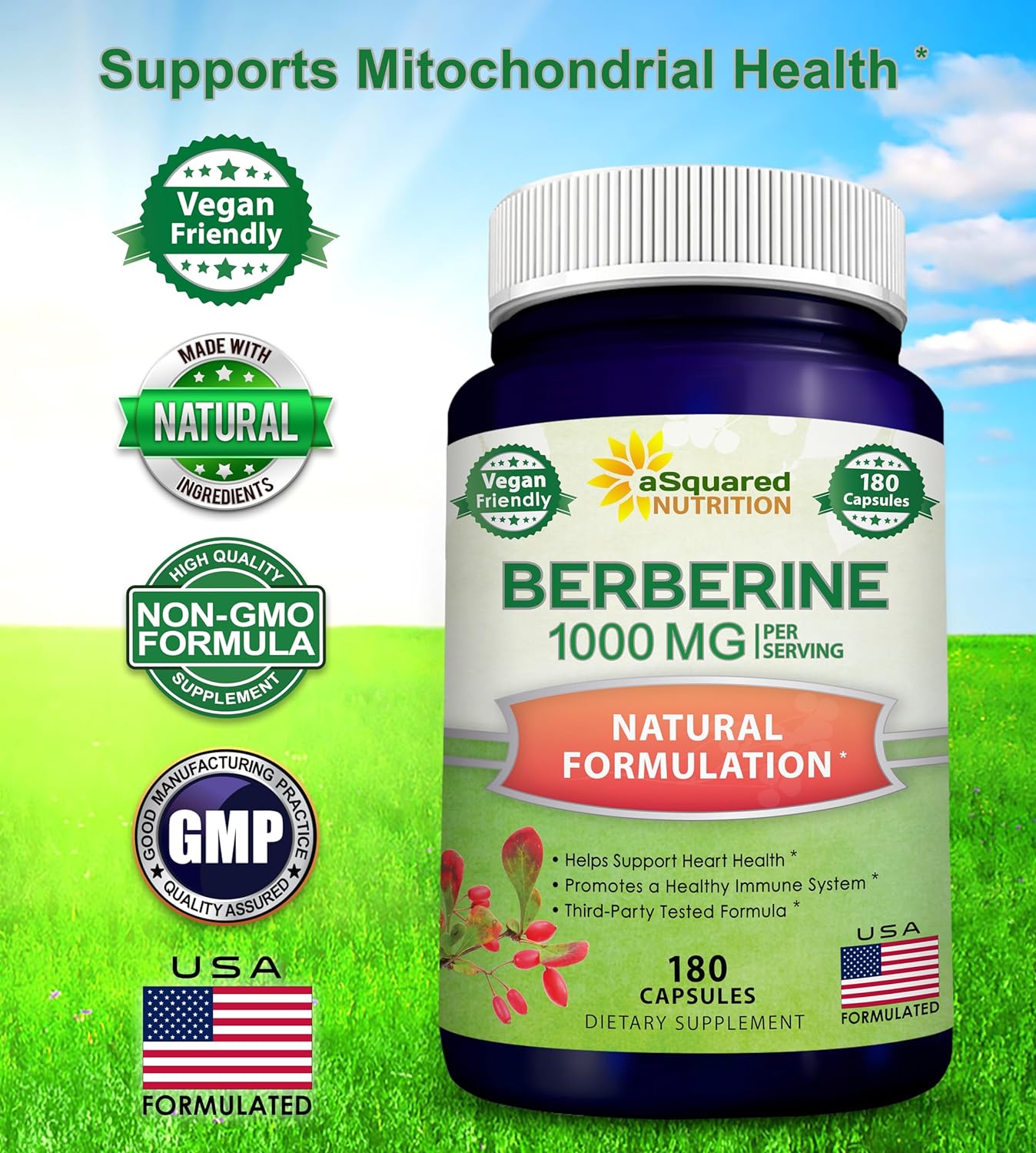 aSquared Nutrition Pure Berberine 1000mg Supplement - 180 Veggie Capsules