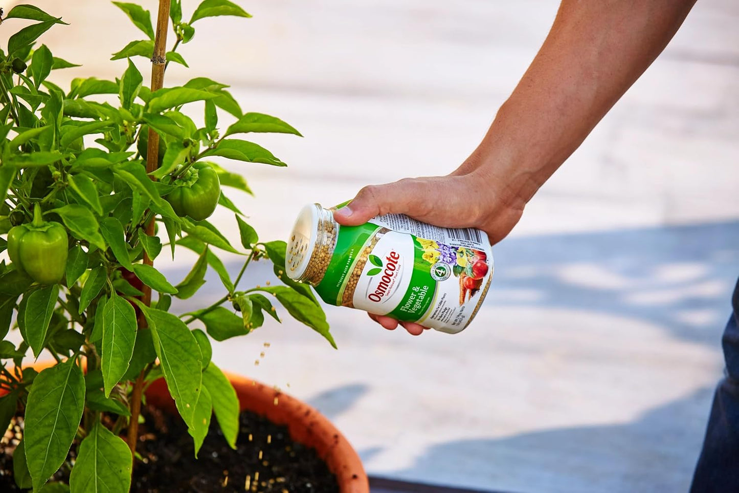 Osmocote Smart-Release Plant Food Flower & Vegetable, 1 lb.