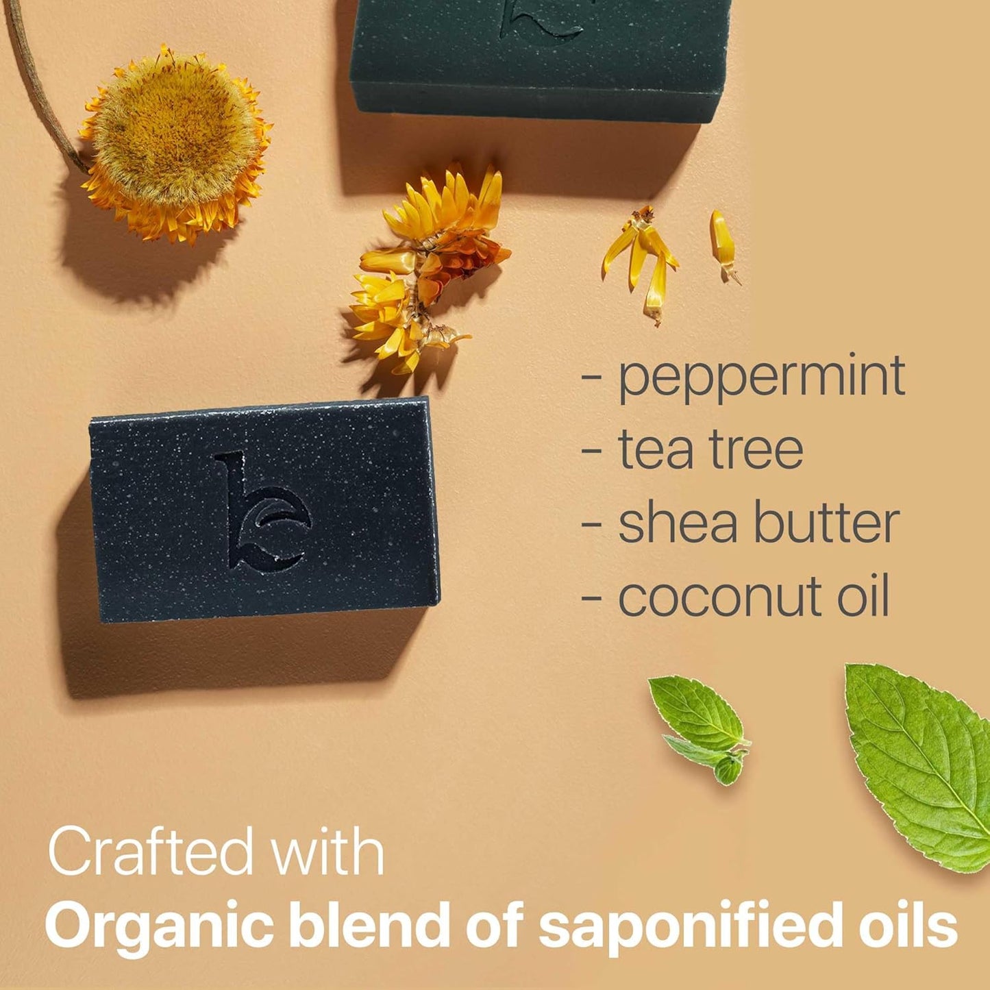 Peppermint Tea Tree Charcoal Facial Bar Soap