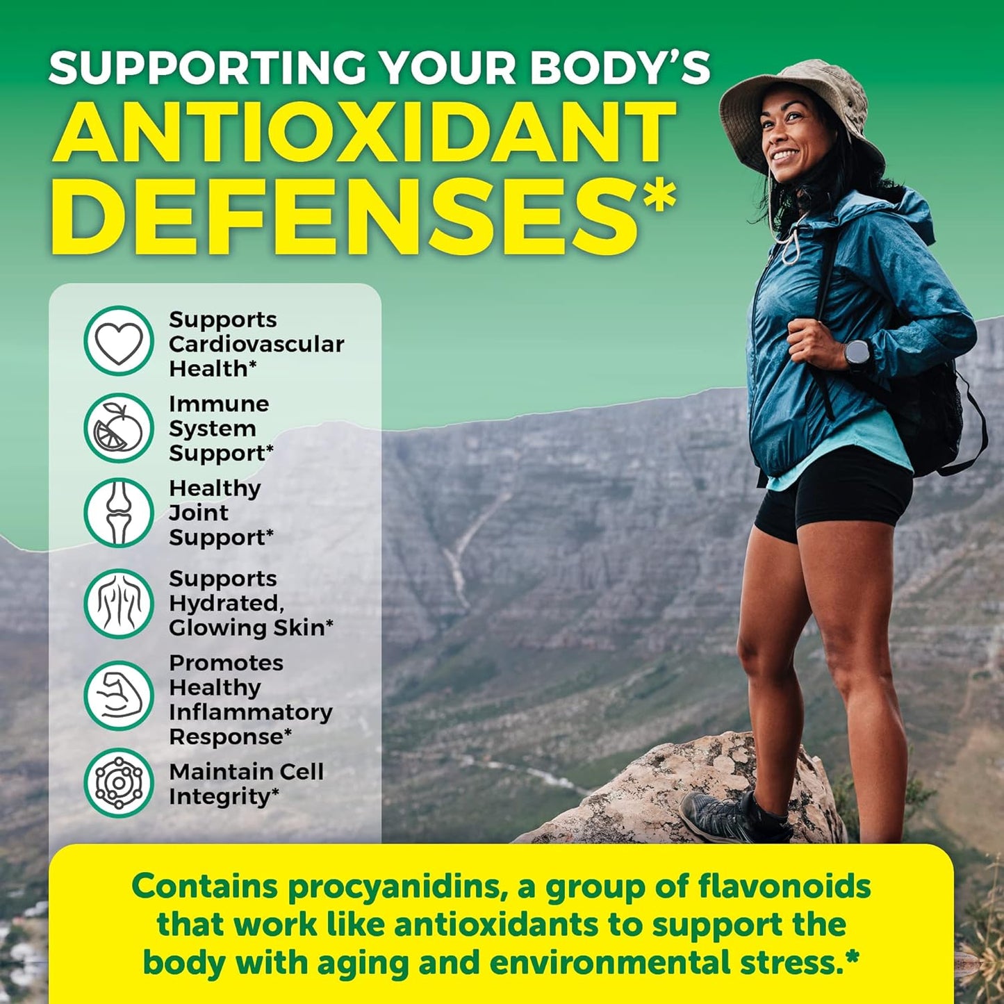 Pycnogenol 100mg from French Maritime Pine Bark Extract Capsules