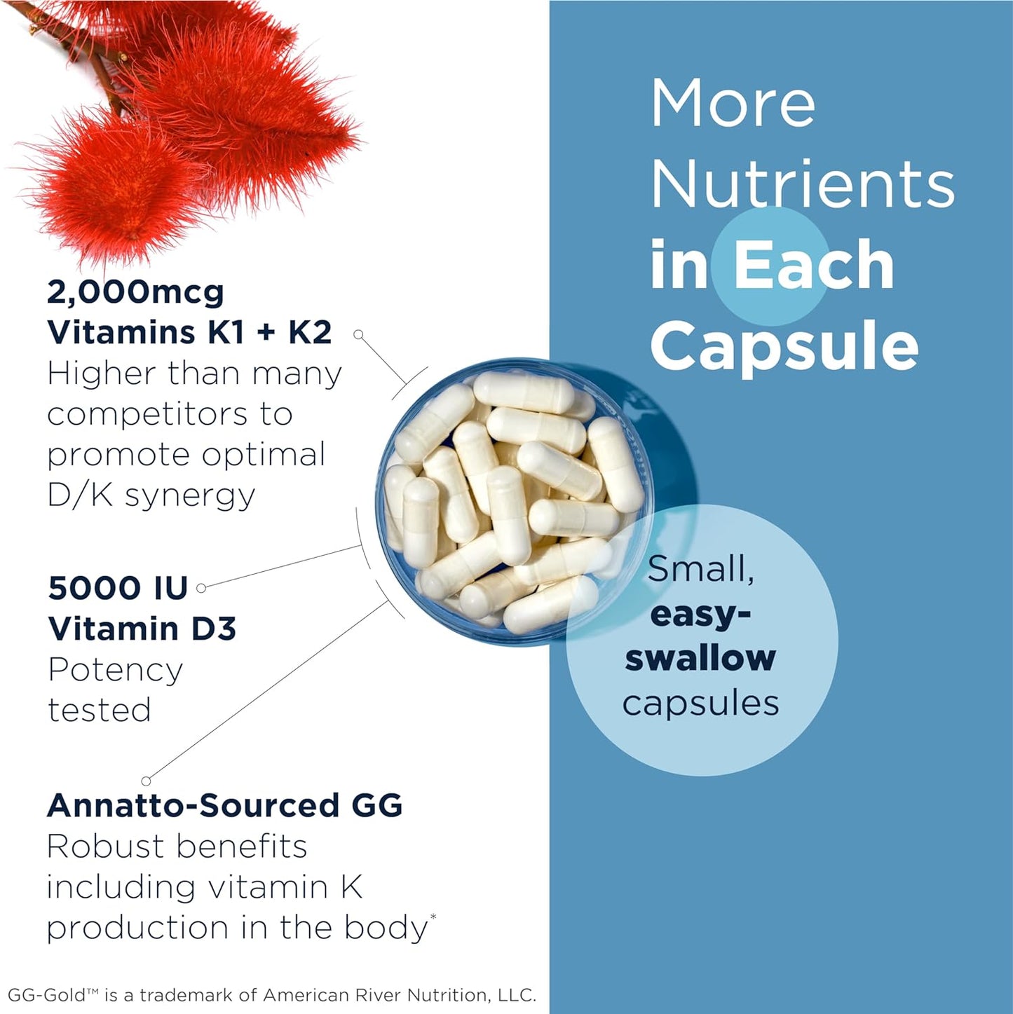 Designs for Health Vitamin D Supreme -60 Capsules