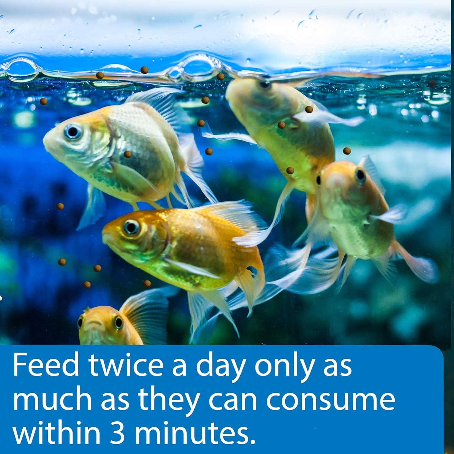 API GOLDFISH PELLETS Fish Food 7-Ounce Container, Large