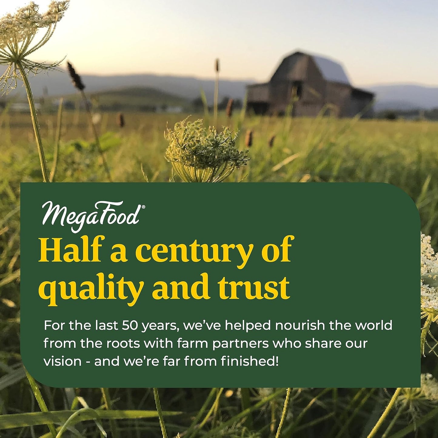 MegaFood Magnesium  - Highly absorbable Blend 60 capsules