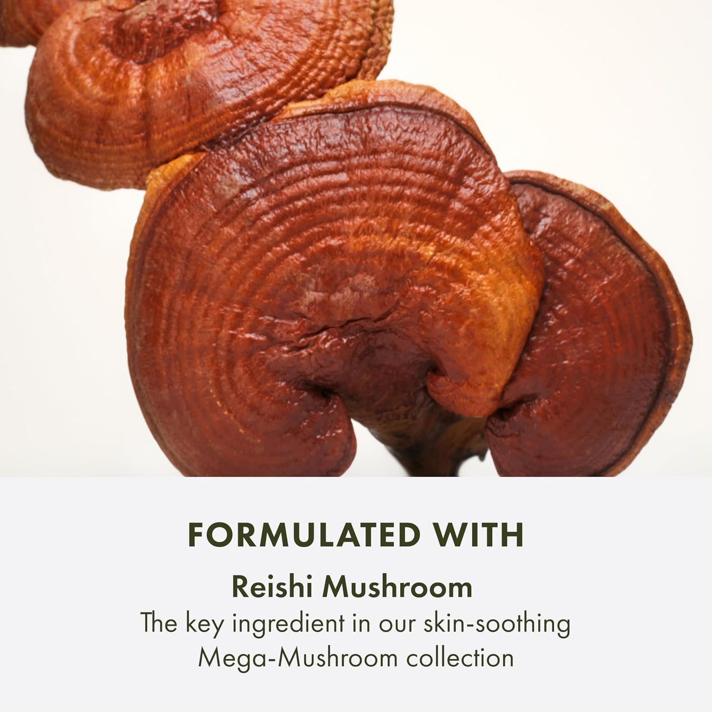 Origins Mega-Mushroom Micellar Cleanser -  6.7 Fl Oz