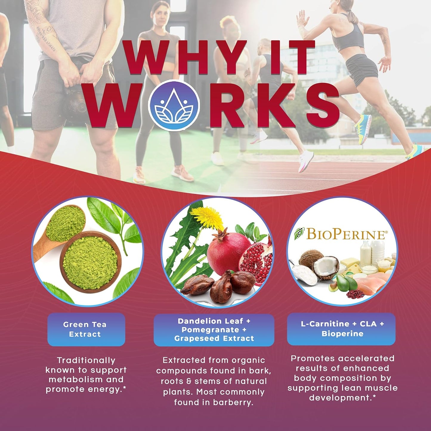 DR EMIL NUTRITION Daytime Burn - 60 capsules