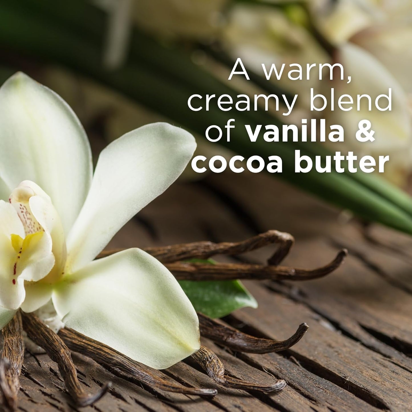 Andalou Naturals Body Butter, Kukui Cocoa Cream, 8 Oz