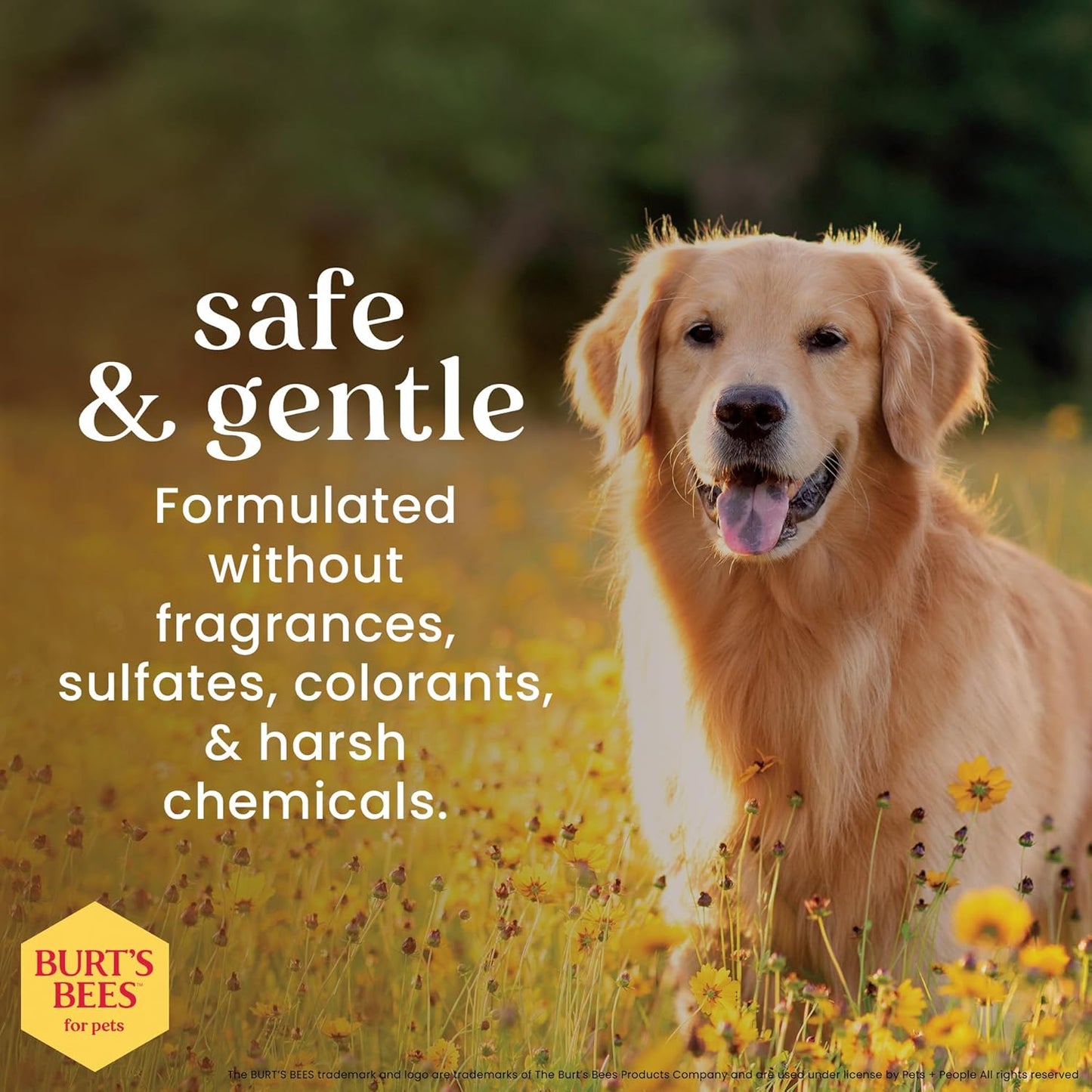 BURT'S BEES FOR PETS Dog Eye Wash with Saline Solution -  4 Fl Oz
