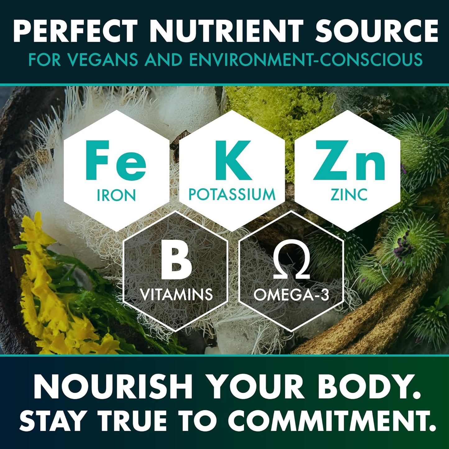 Sea Moss Capsules  - Superfood Sea Moss Supplements w/Raw Sea Moss Powder - 120 count