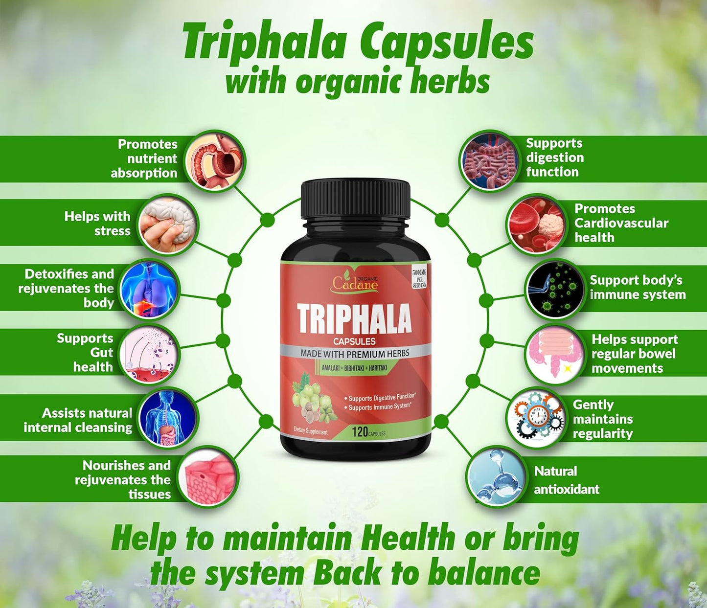 Organic Triphala Supplement 120 Veggie Capsules