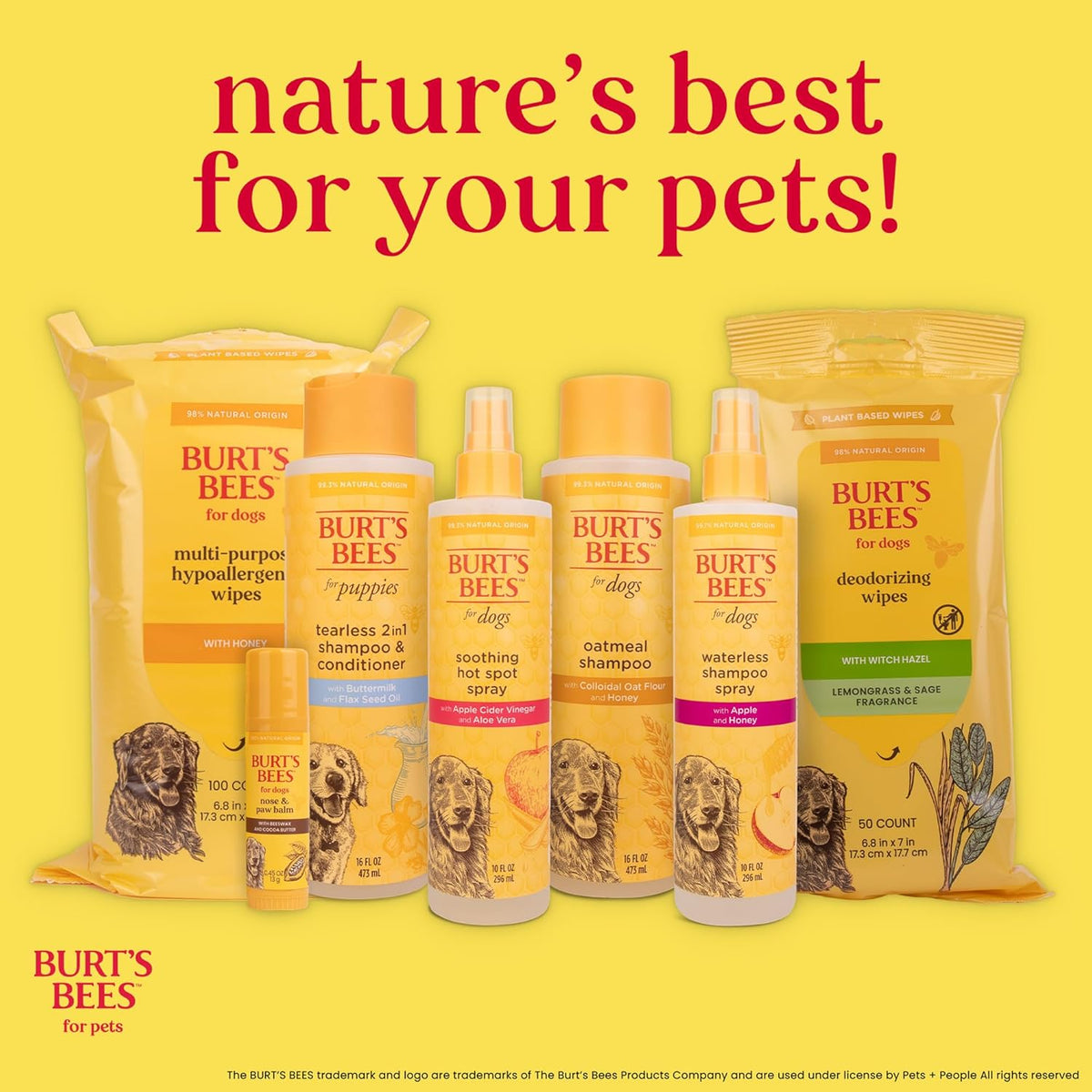 Burt's Bees for Pets Deodorizing Dog Shampoo - 16 Fl Oz