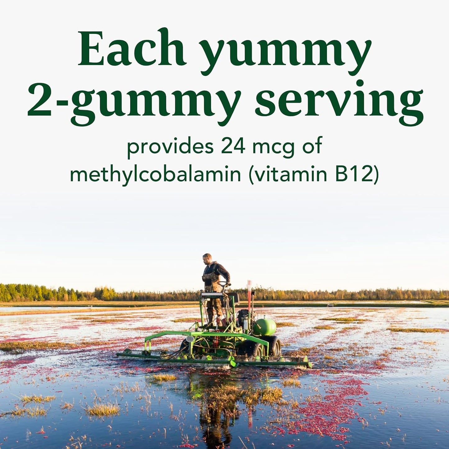 MegaFood B12 Energy Gummies - Supports Energy Metabolism 70 count