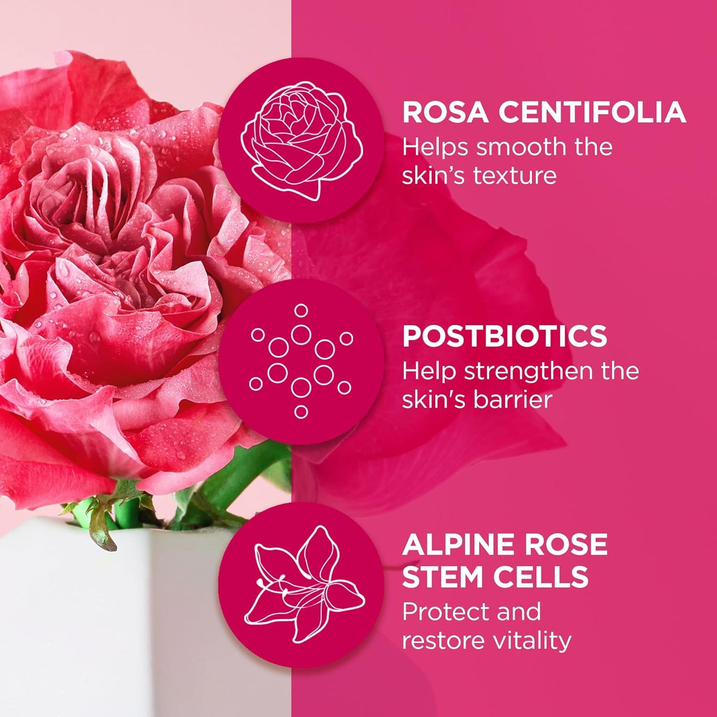 Andalou Naturals 1000 ROSES® Fortifying Night Cream