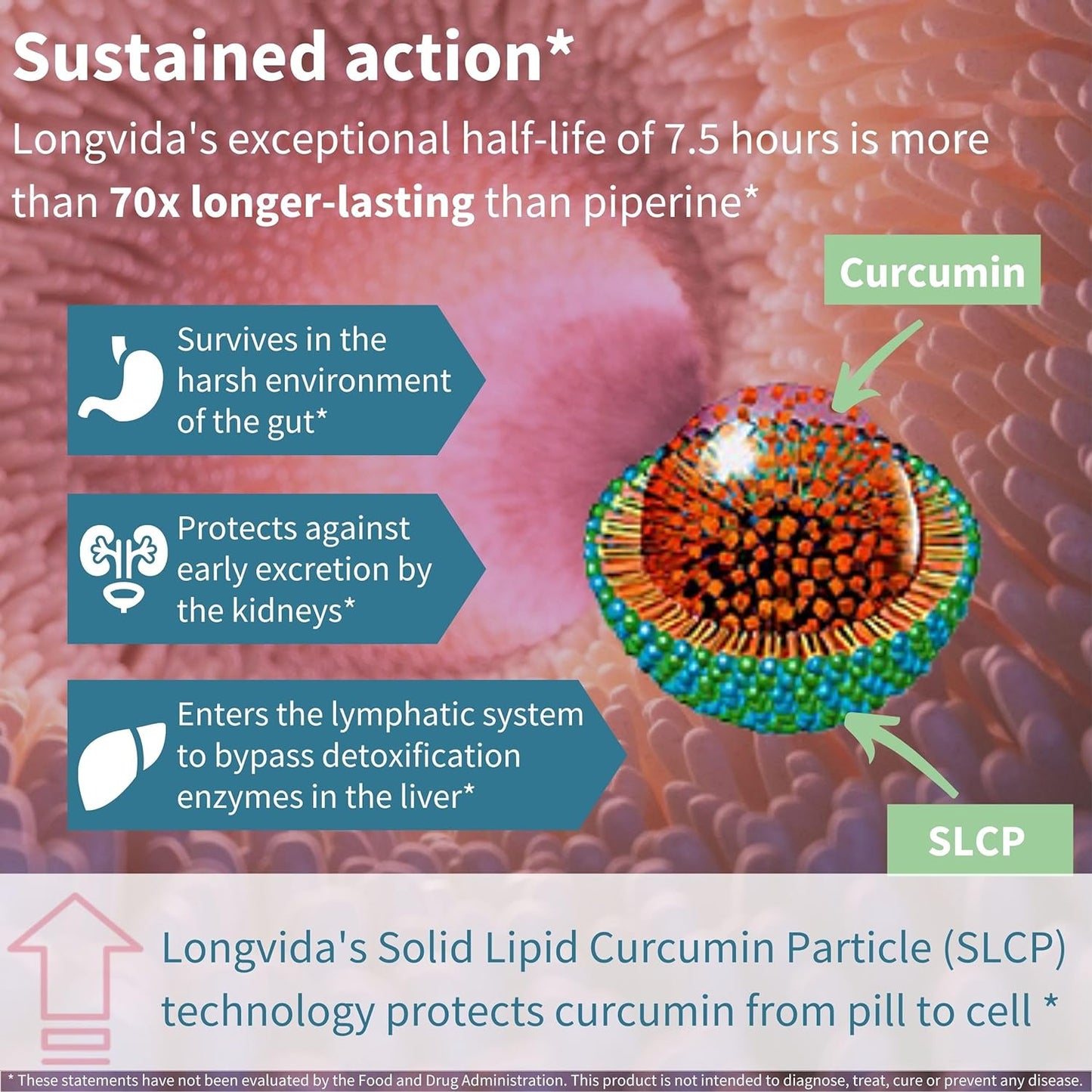 Longvida Lipidated Curcumin 500mg Ultra Bioavailable & Sustained Action,30 Capsules