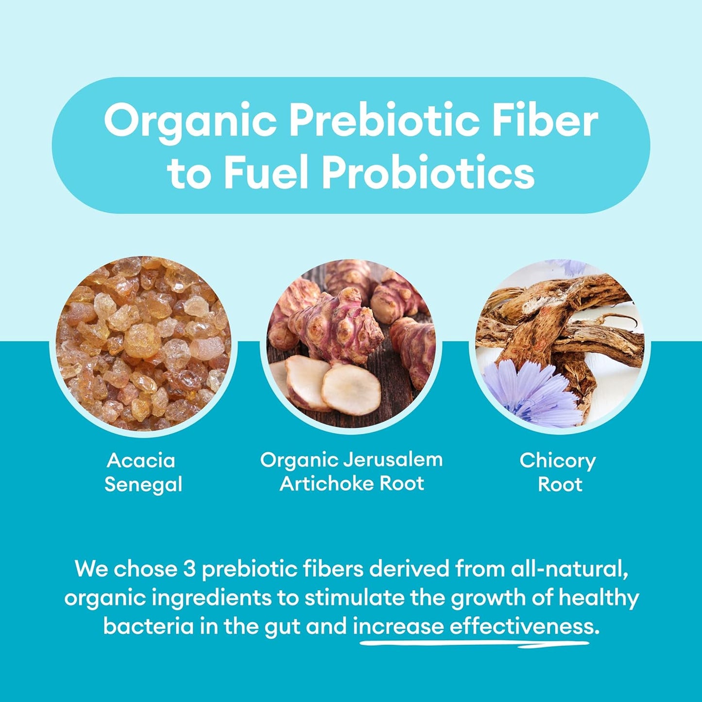 Physician's CHOICE Probiotics 60 Billion CFU - 10 Strains + Organic Prebiotics - 30 count