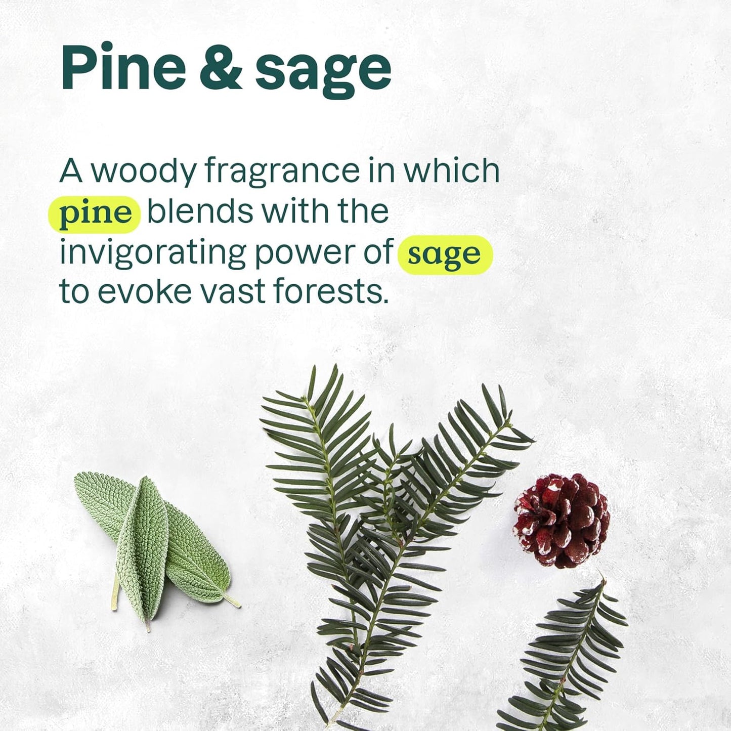 ATTITUDE Liquid Hand Soap,Pine & Sage -  16 Fl Oz