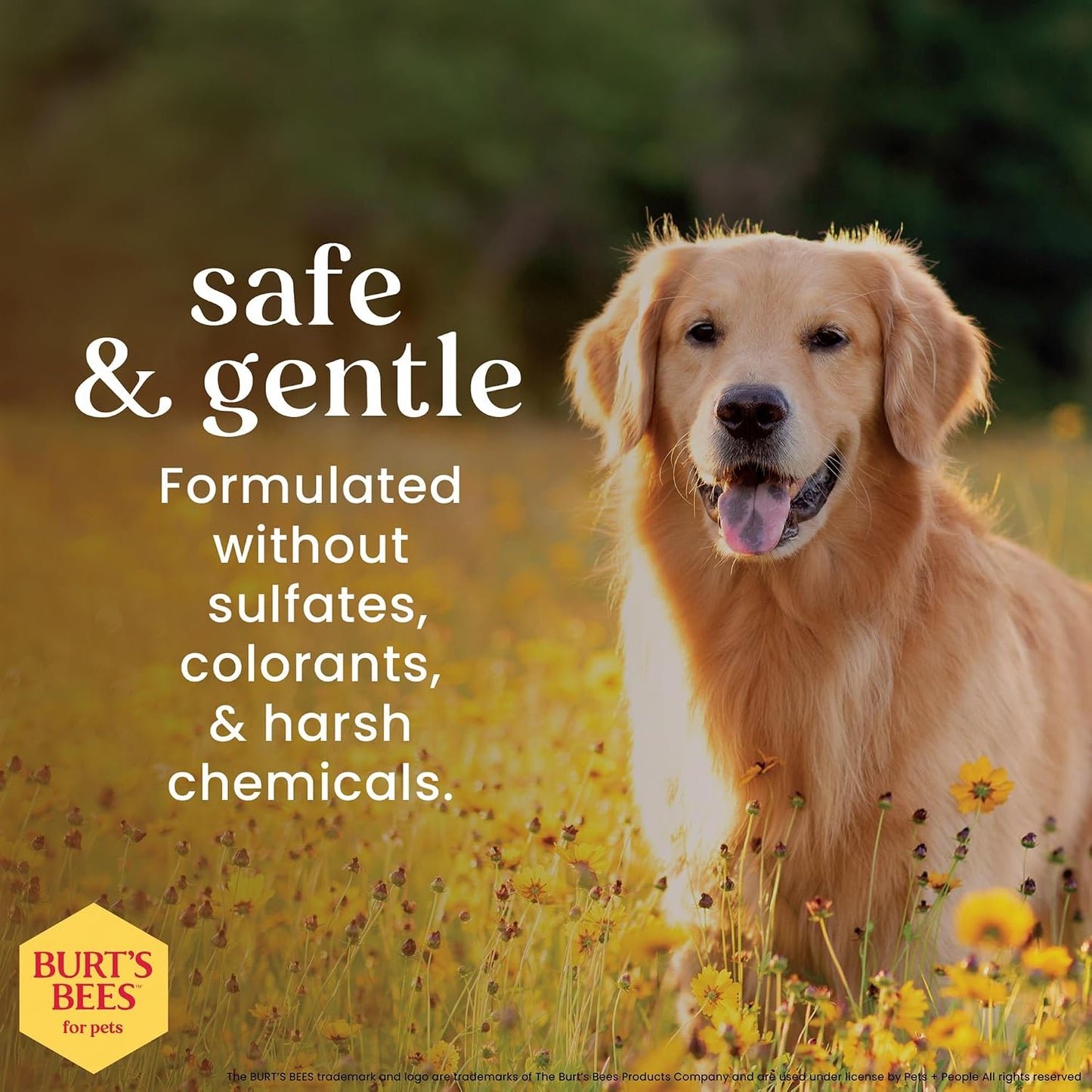 Burt's Bees for Pets Calming Dog Shampoo -16 Fl Oz