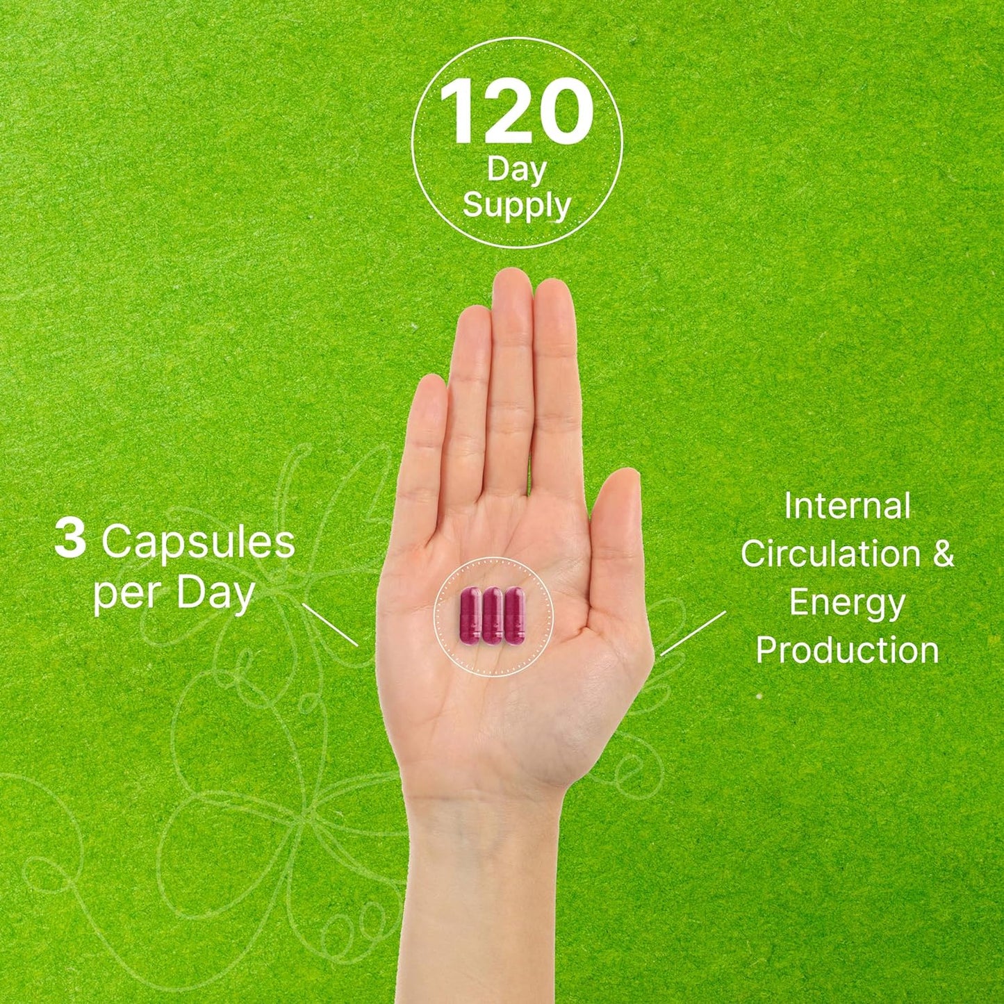 Beet Root with Black Pepper 360 capsules