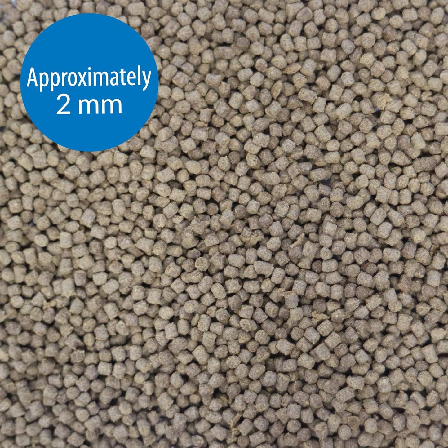 API GOLDFISH PELLETS Fish Food 7-Ounce Container, Large