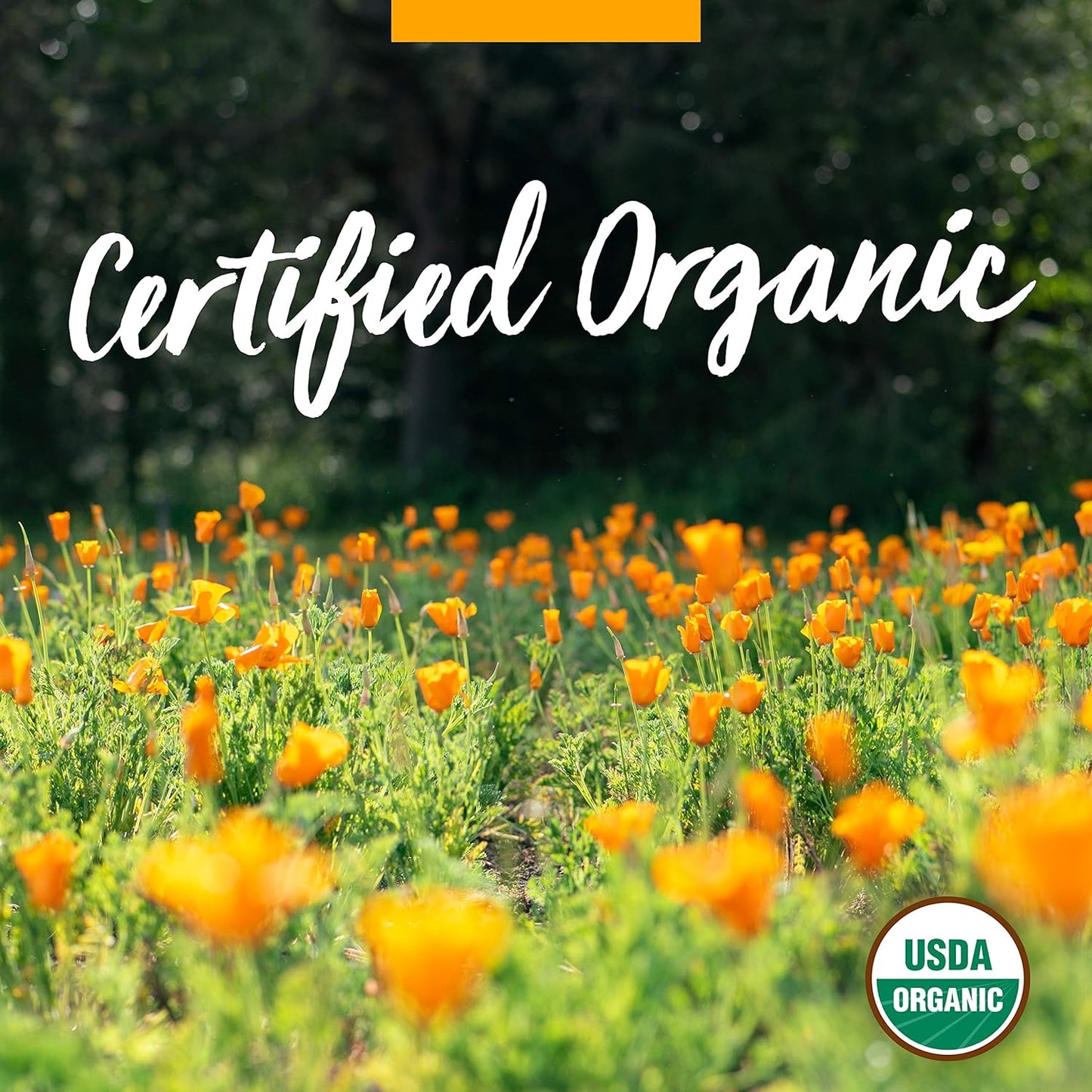 Herb Pharm Certified Organic Super Echinacea Liquid Extract 4 Oz