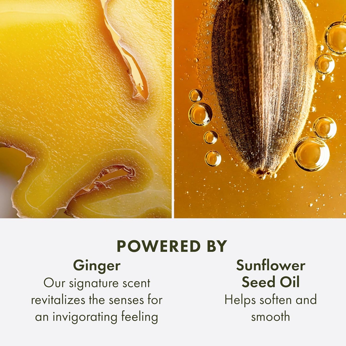 Origins Ginger Hand & Body Lotion for Dry Skin - 2.5 fl oz