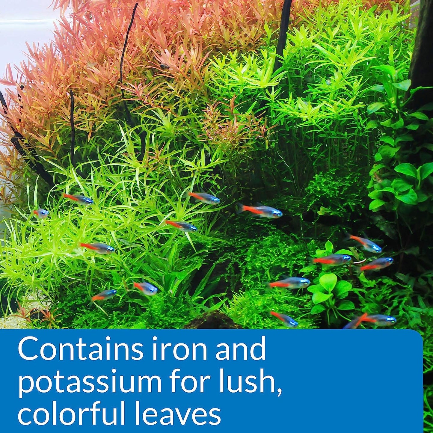 API LEAF ZONE Freshwater Aquarium Plant Fertilizer 18-Ounce Bottle White