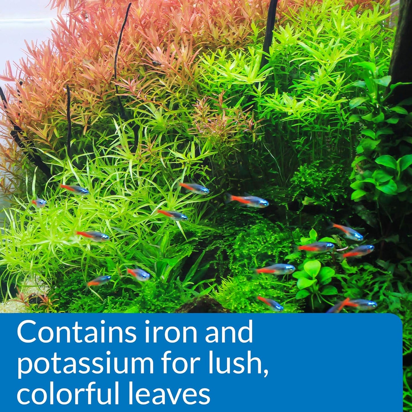API LEAF ZONE Freshwater Aquarium Plant Fertilizer 8-Ounce Bottle