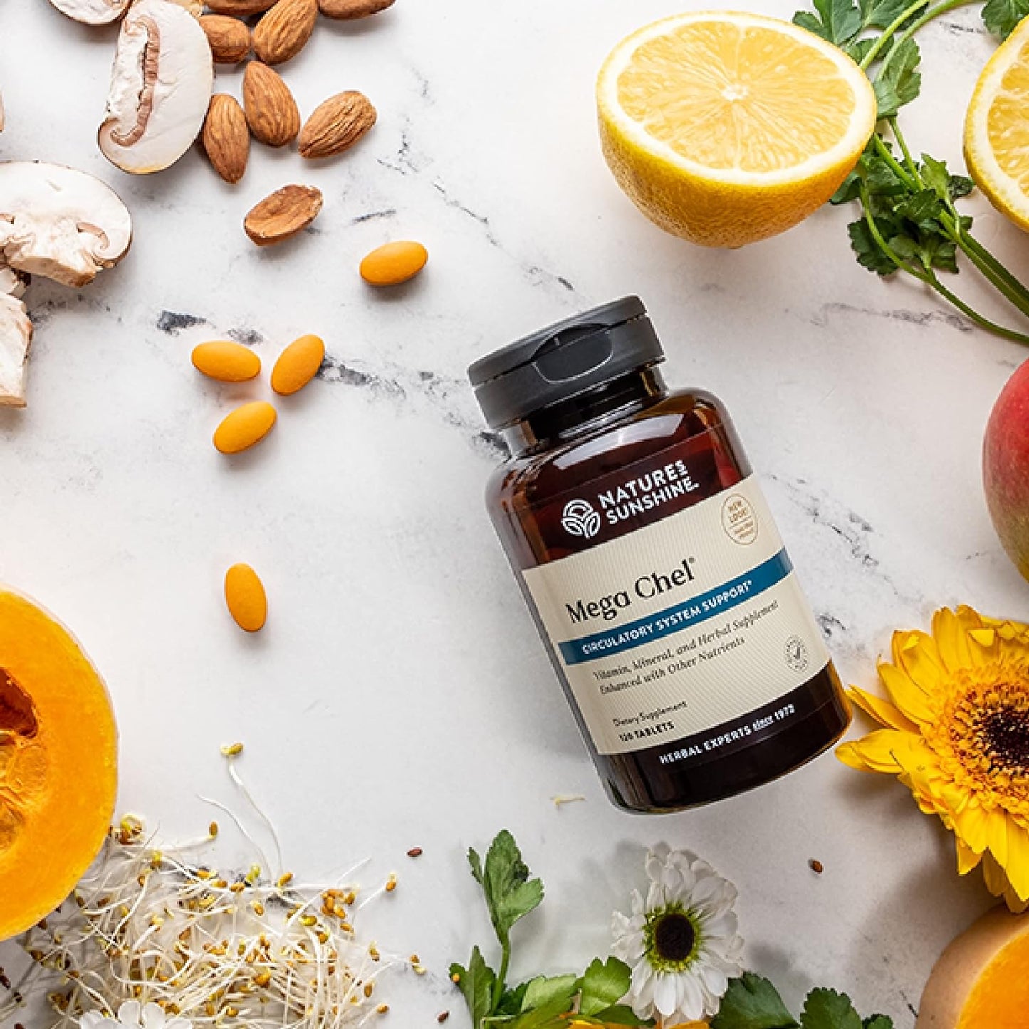 Nature's Sunshine Mega-Chel, 120 Tablets