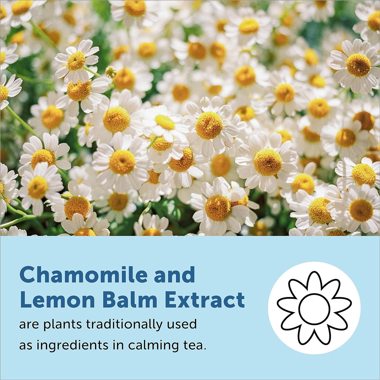 SmartyPants Kids Melatonin Gummy, Sugar Free Gummies  25 count