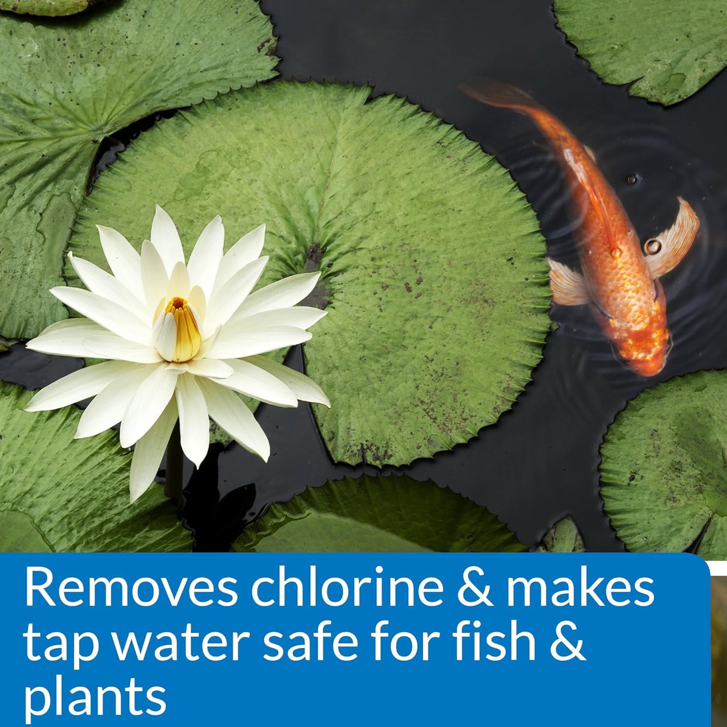 API POND CHLORINE & HEAVY METAL NEUTRALIZER Pond Water Neutralizer 16-Ounce Bottle, White