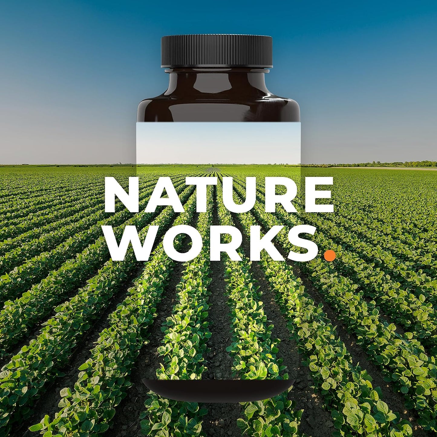 Inflamma-X - Inflammation Support Supplement 60 Capsules