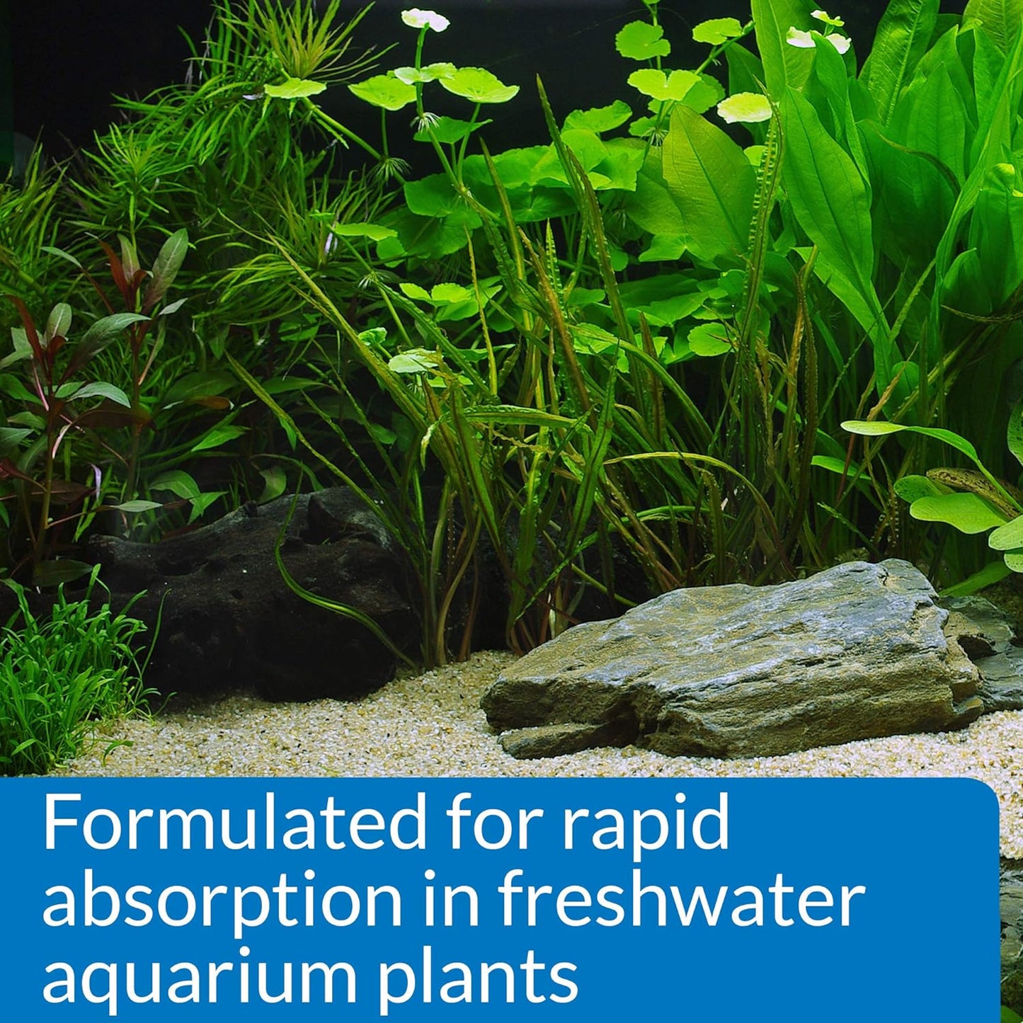 API LEAF ZONE Freshwater Aquarium Plant Fertilizer 8-Ounce Bottle