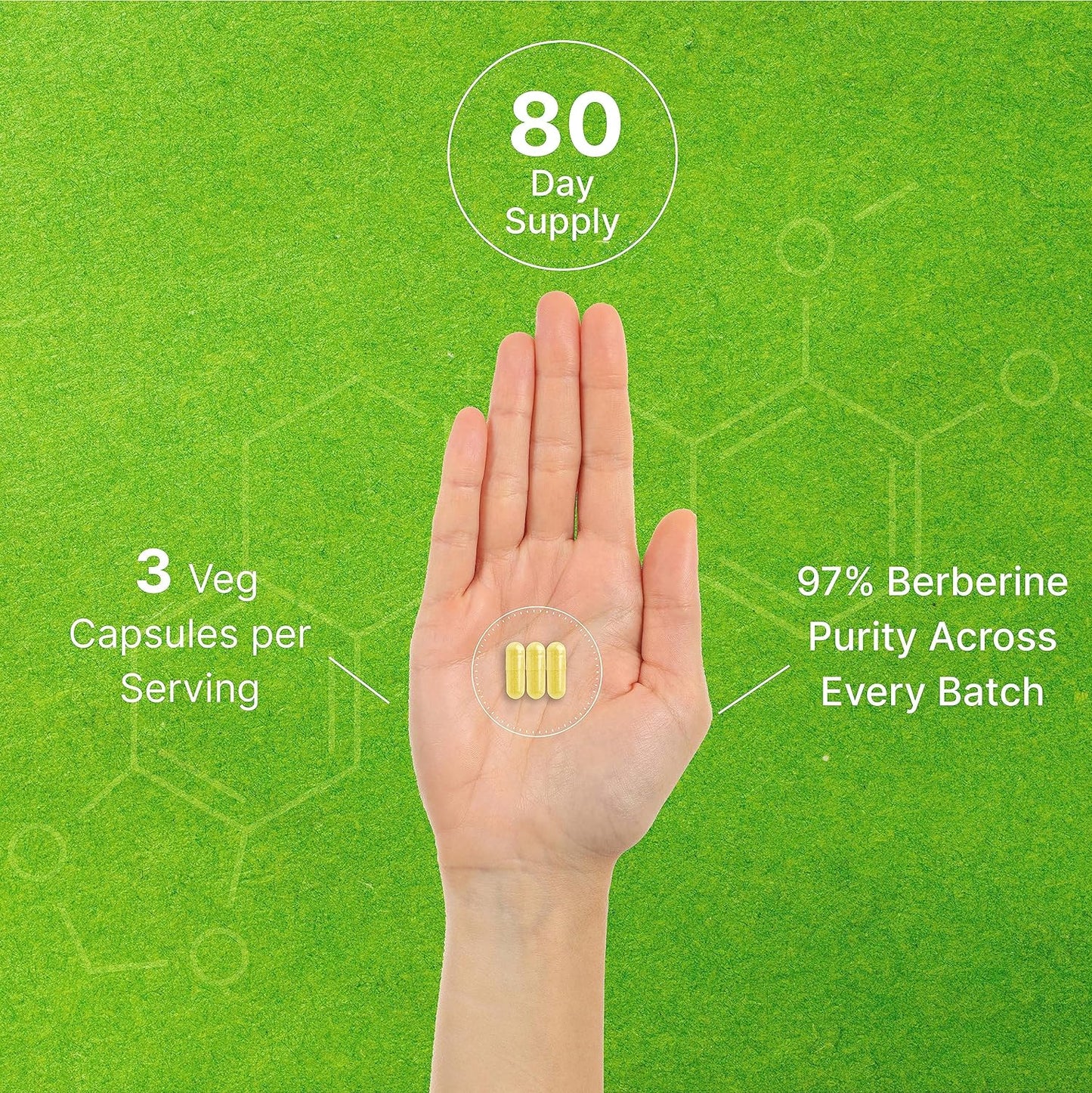 Berberine Ceylon Cinnamon Bark & Bitter Melon 240 Veggie Capsules