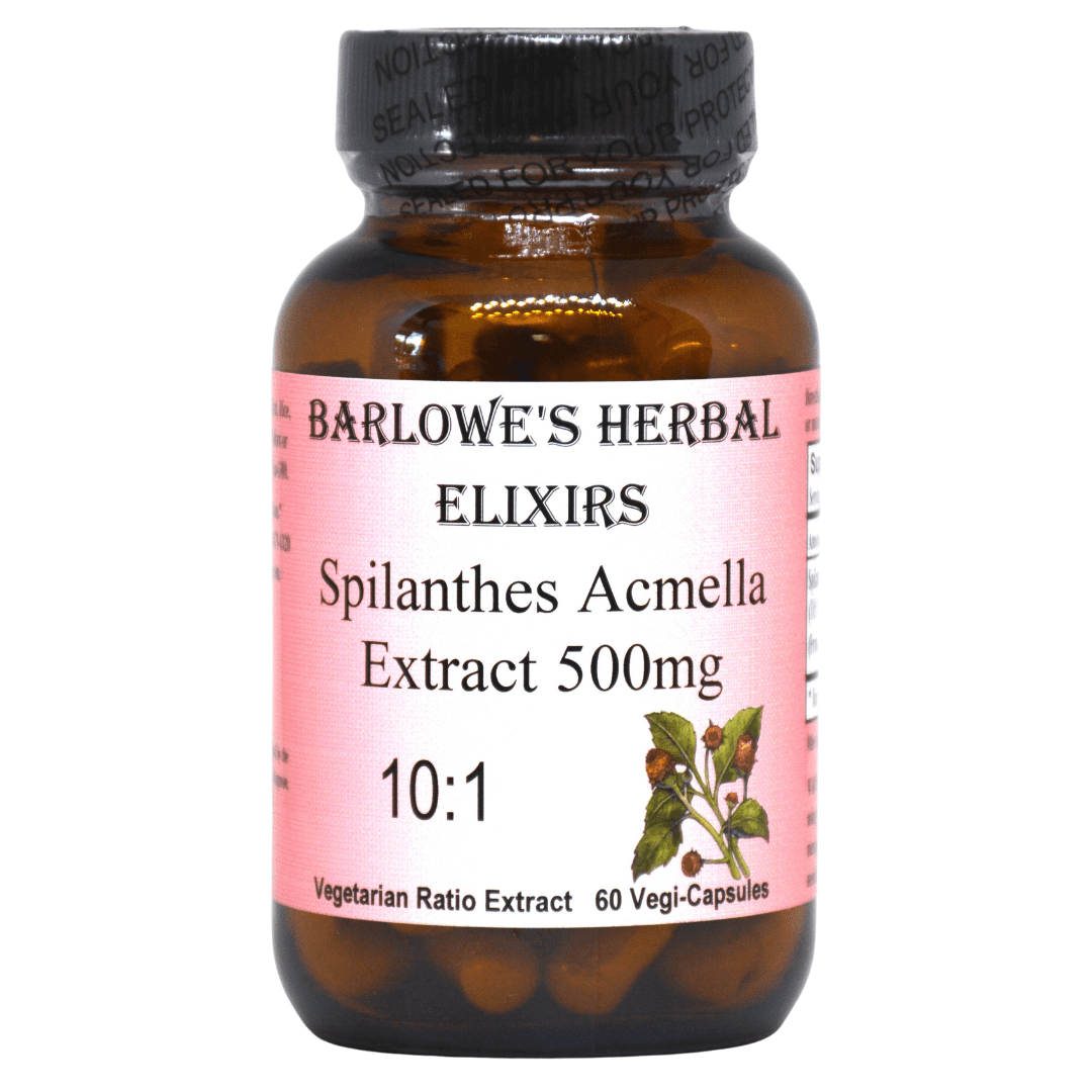 Barlowe's Herbal Elixirs  Spilanthes Acmella 10:1 Extract 500mg  60 Veggie Capsules